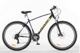 Bici discount futura 29