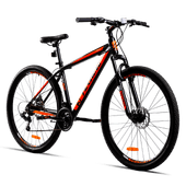 Bicicleta TEKNIAL TARPAN 100RUN L 29" Negro/Negro