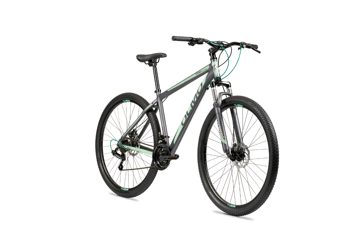 bicicleta olmo rodado 29 precio