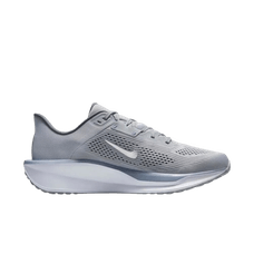 Zapatillas Nike Quest 6 Gris Hombre